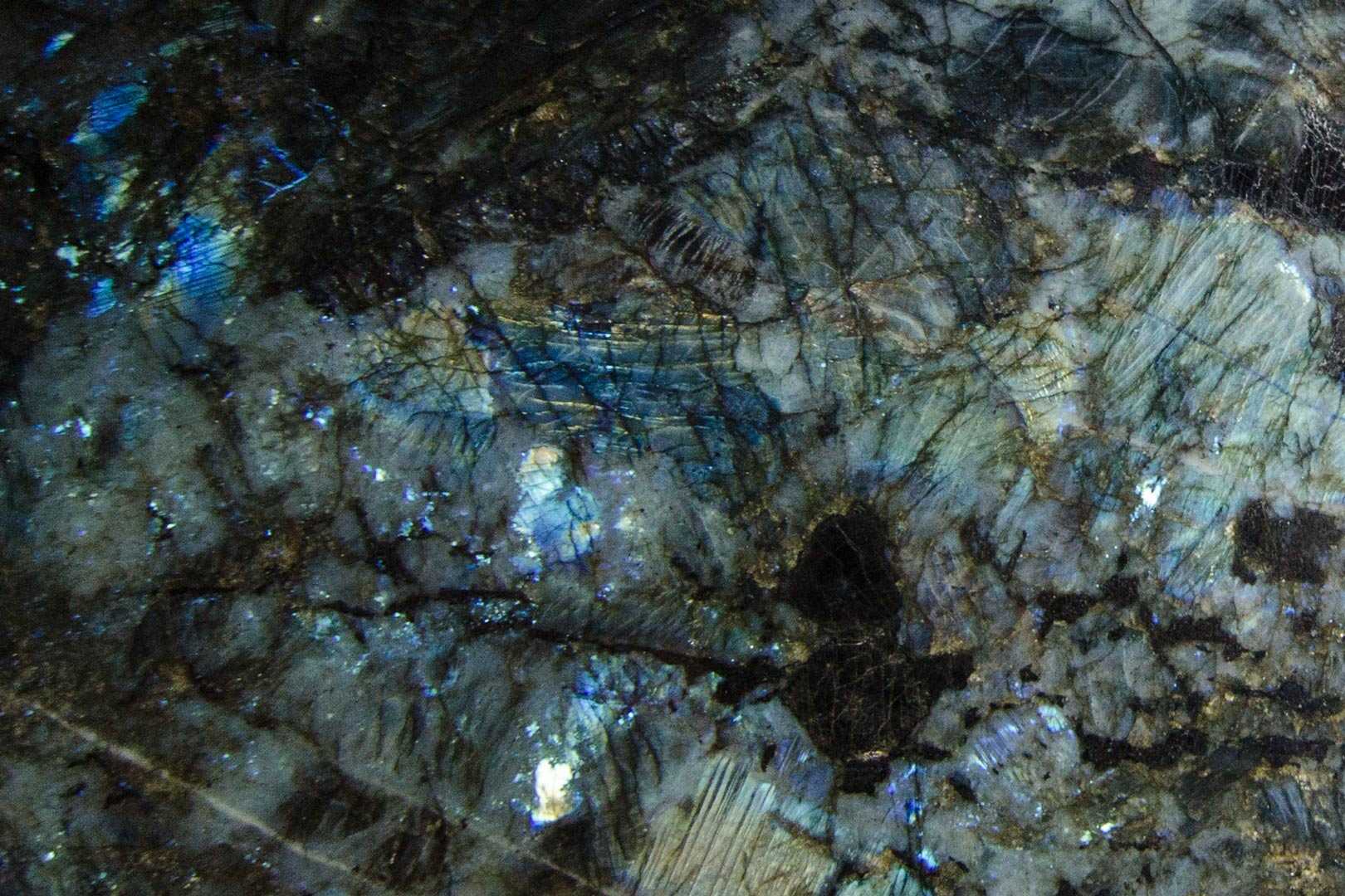 Lemurian